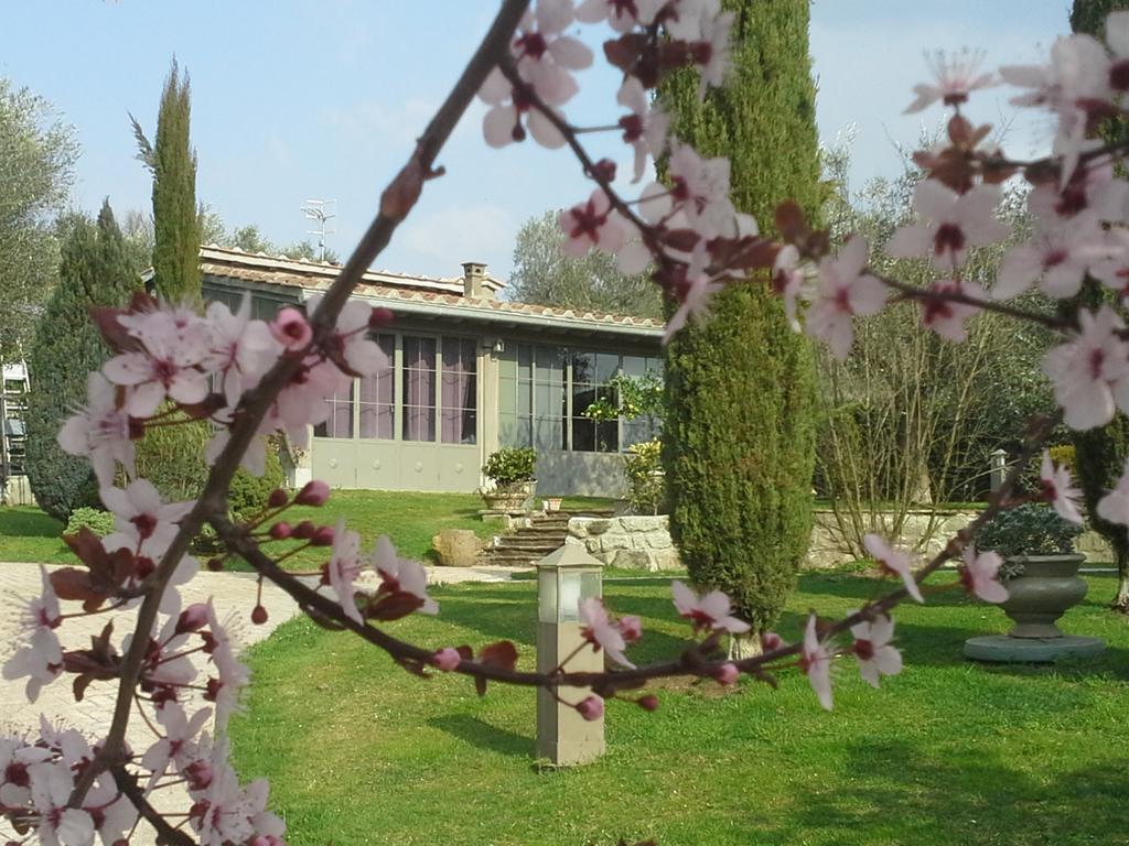 Residenza Teodorico Re B&B Viterbo Exteriör bild